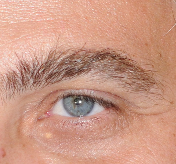 DSC_2580 crop.jpg