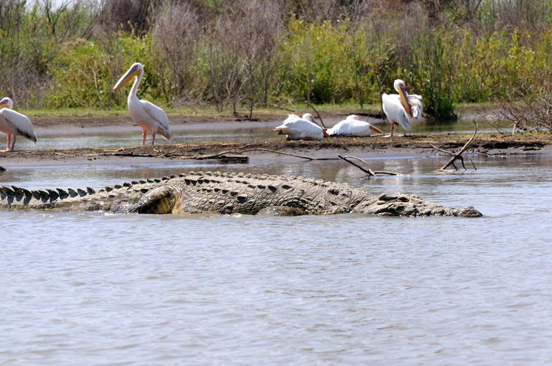 DSC_2621.jpg