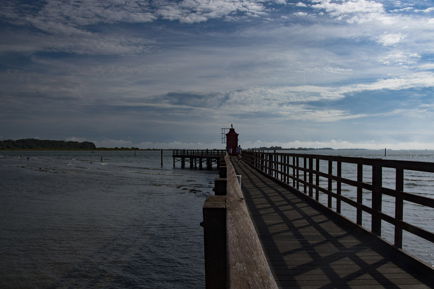 DSC_2637b.jpg