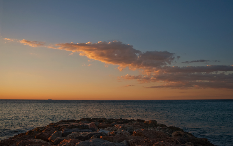 DSC_2650.jpg