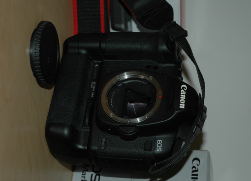 DSC_2711.JPG
