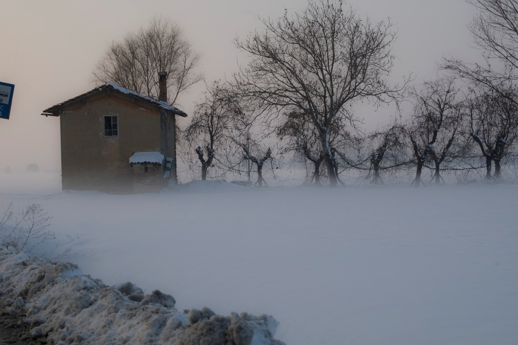 DSC_2728.jpg