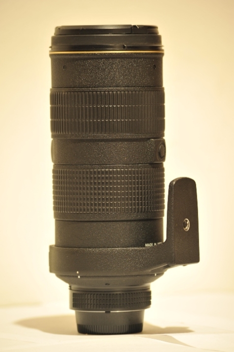 DSC_2773.JPG