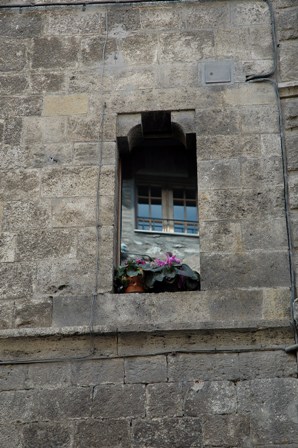 DSC_2811.JPG