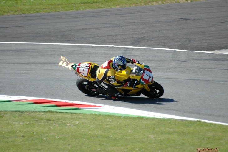 DSC_2849firmapet.JPG