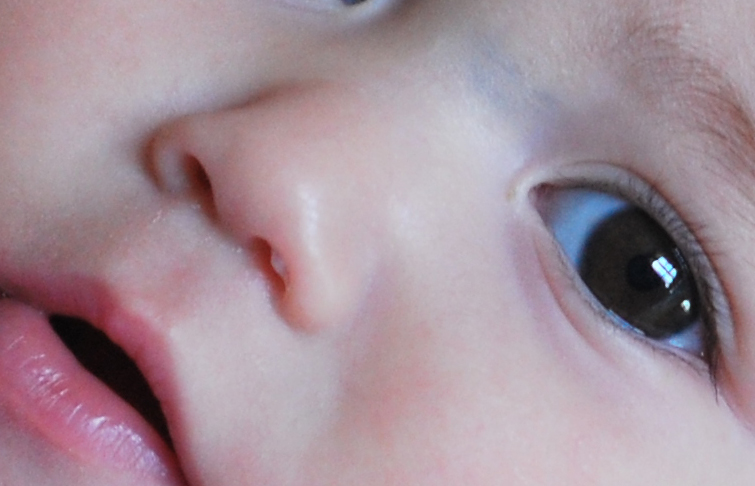 DSC_2865crop.jpg