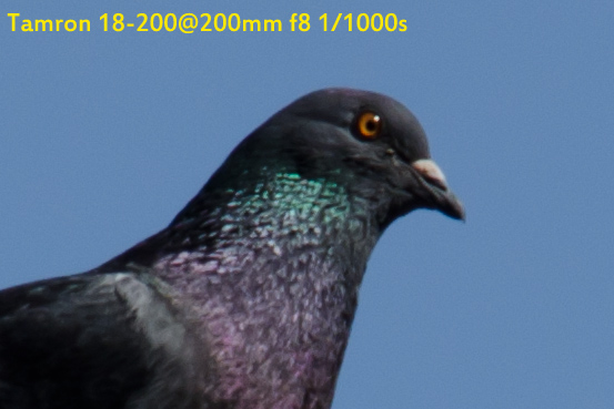 DSC_2880.jpg
