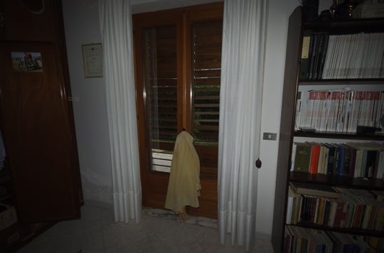 DSC_2938.jpg