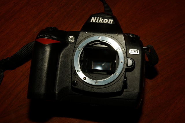dsc_3130_181.jpg