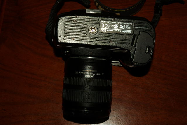 dsc_3131_129.jpg