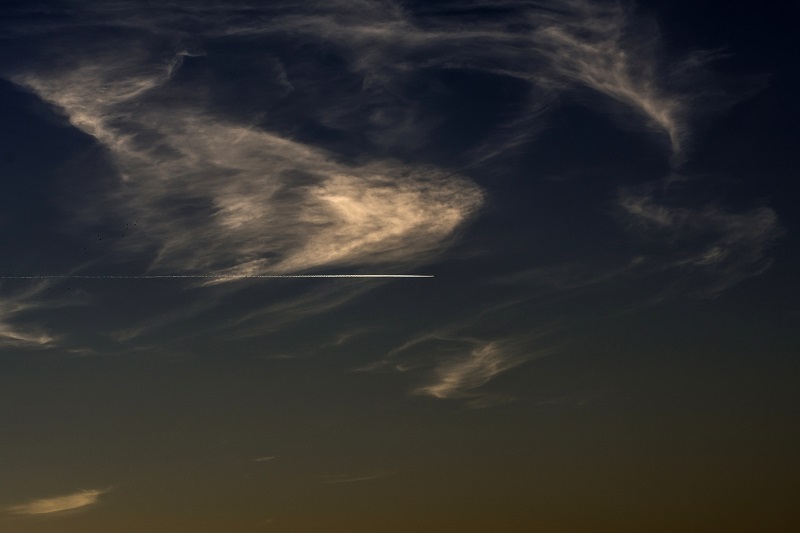 DSC_32333.jpg