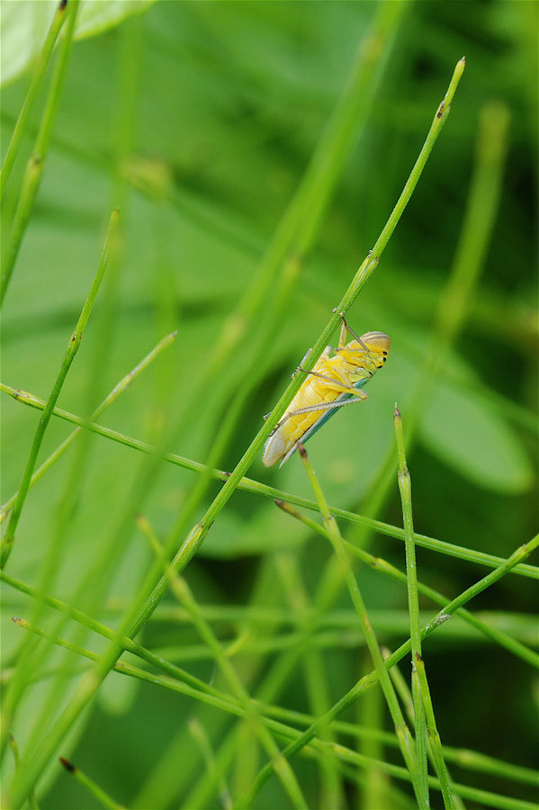 DSC_3270.jpg