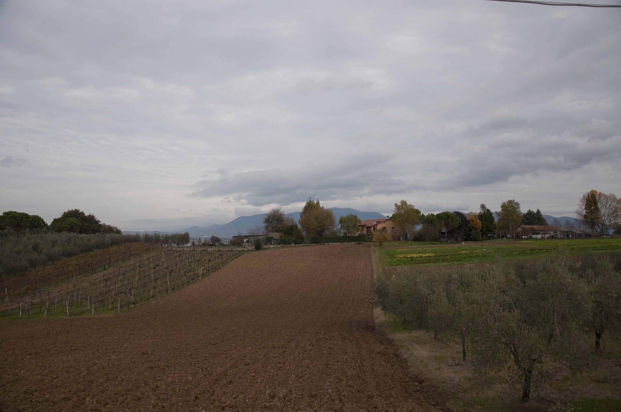 DSC_3302jpg.jpg