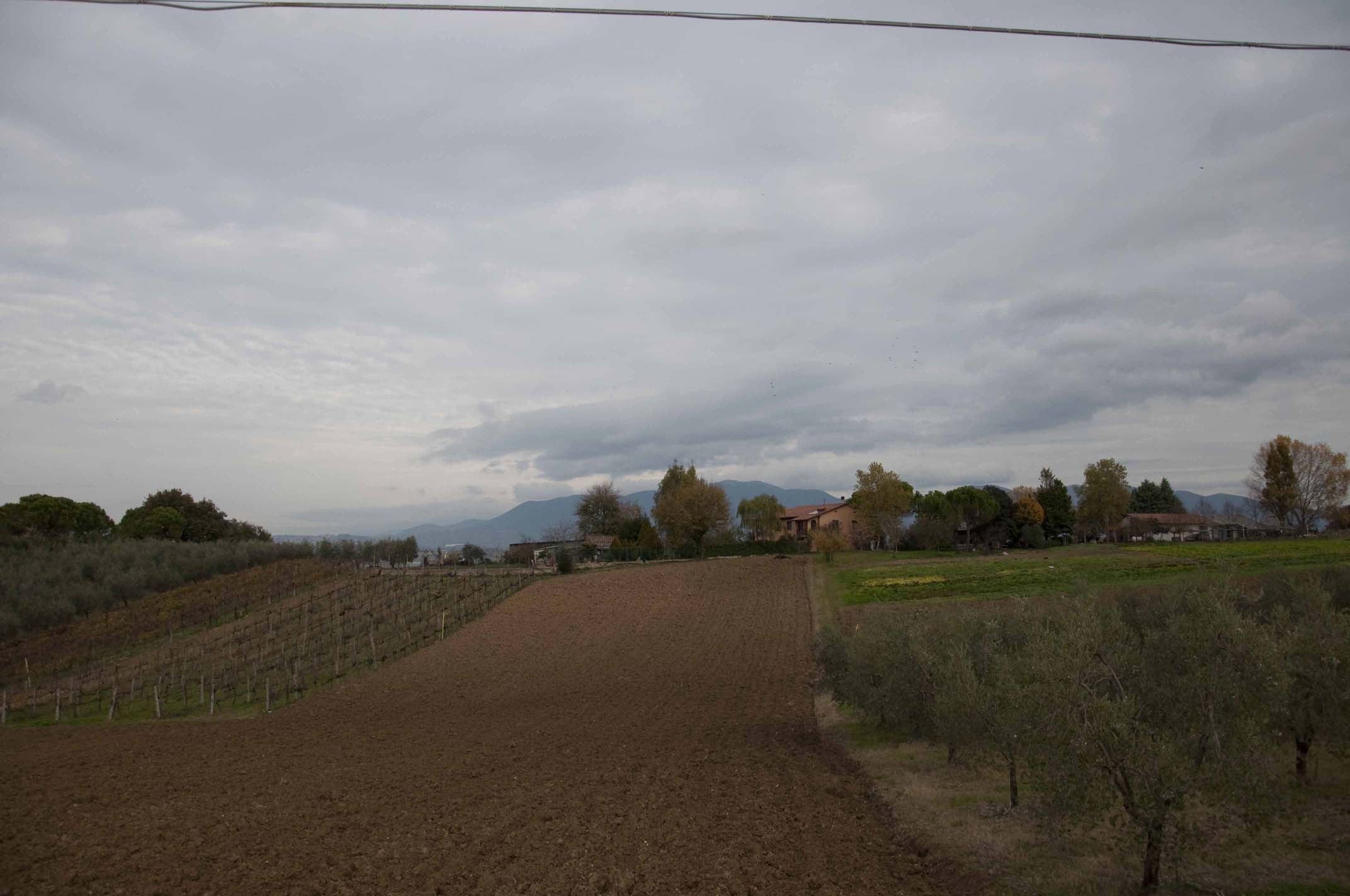 DSC_3303jpg.jpg