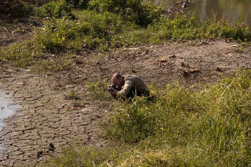 DSC_3304.jpg