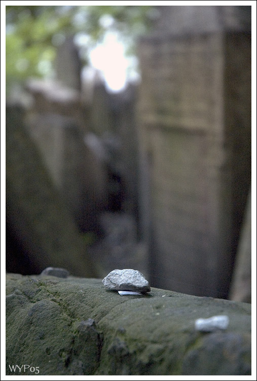 DSC_3357.jpg