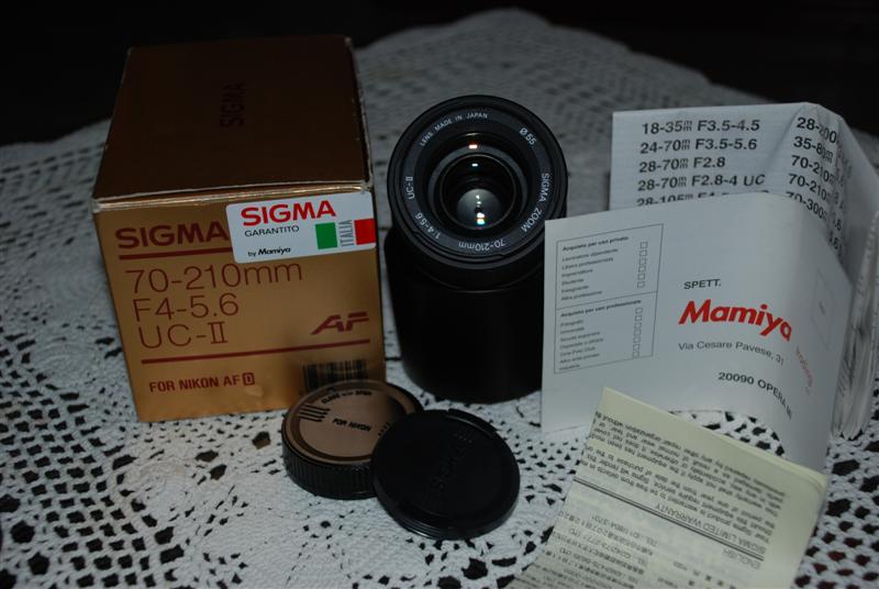 DSC_3473 (Medium).JPG