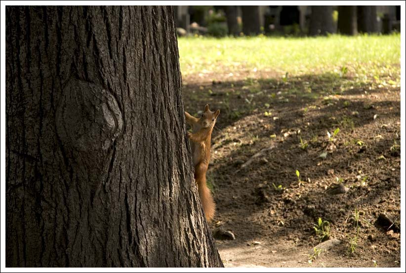 DSC_3510.jpg