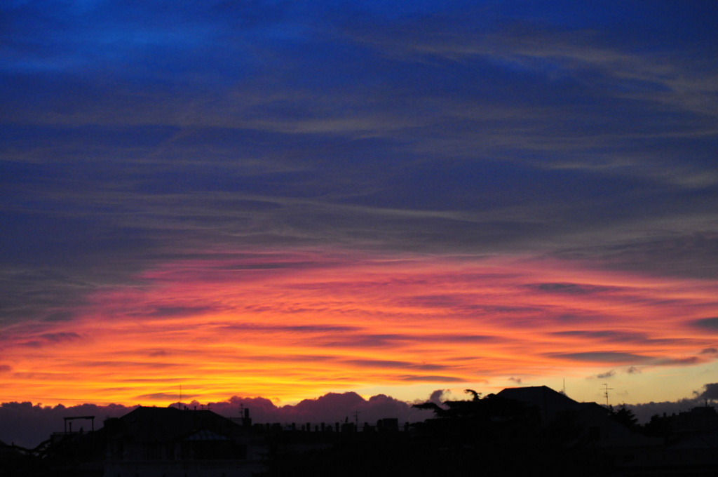 DSC_3583.JPG