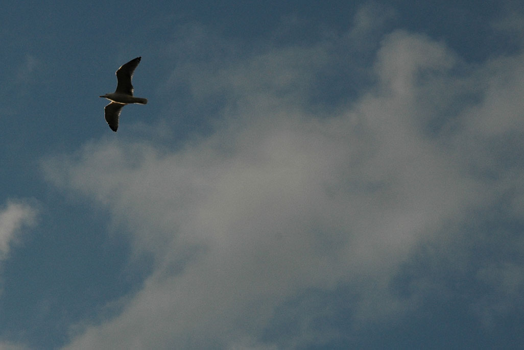 DSC_3583xforum2.jpg