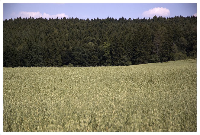 DSC_3587.jpg