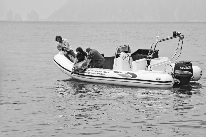 DSC_3639darawBW_705.JPG