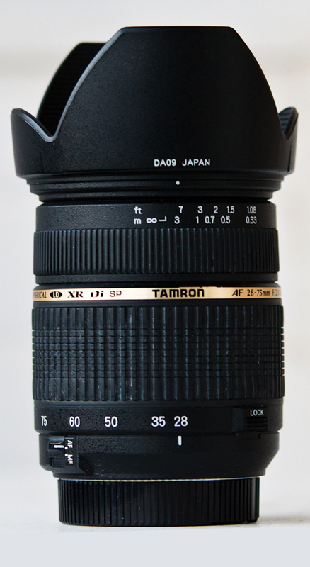 DSC_3698-Modifica.jpg
