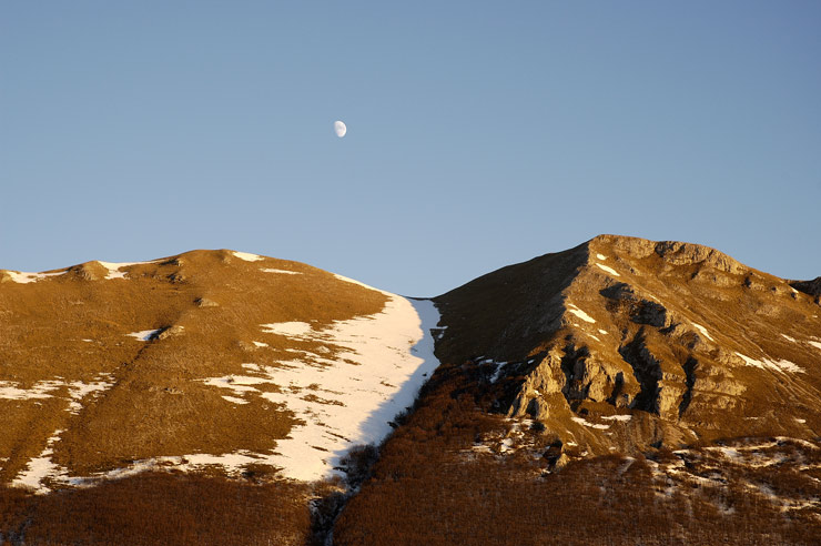 DSC_3743.jpg