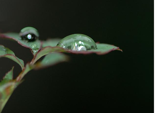 DSC_3886 (Small).jpg