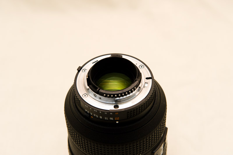 DSC_3897.jpg