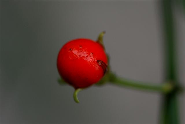 DSC_3901 (Small).jpg