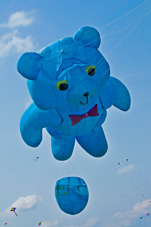 DSC_3910.jpg