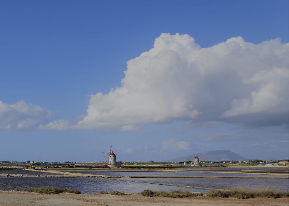 DSC_3918_01.JPG