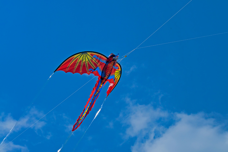 DSC_3921.jpg
