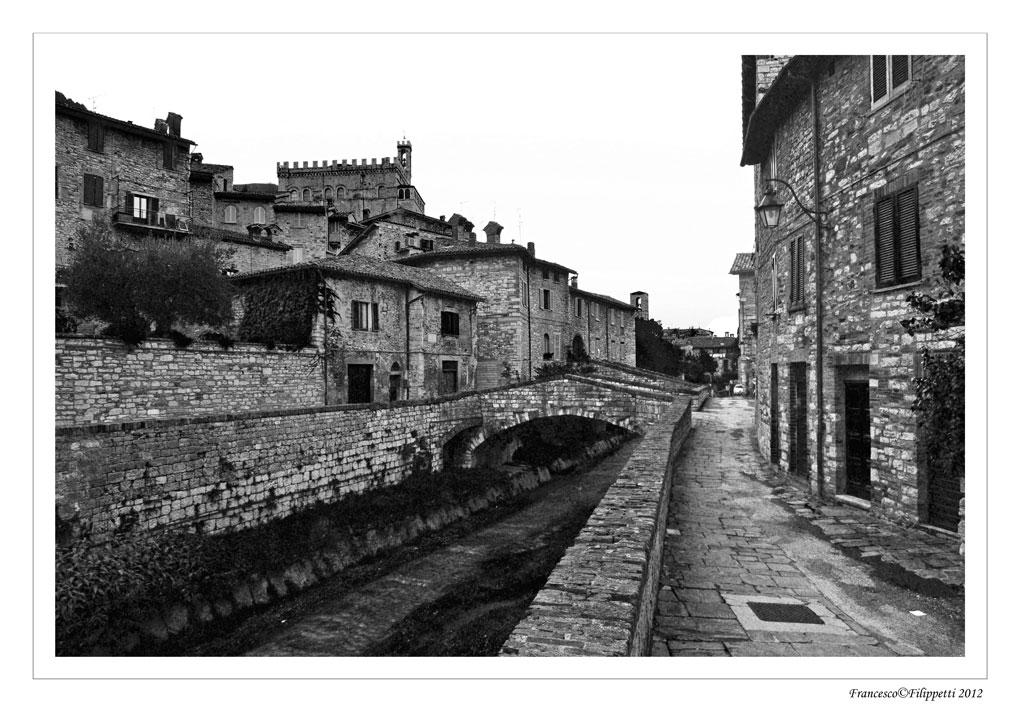 DSC_4043bianco-e-nero-.jpg