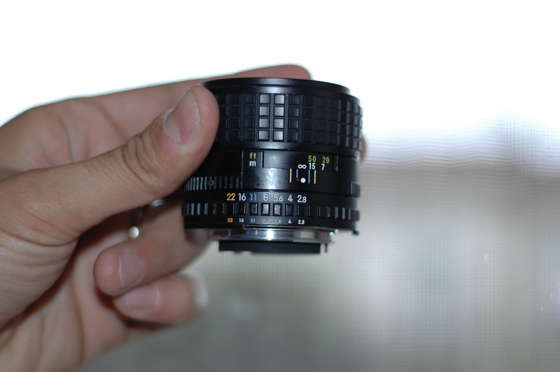 DSC_4044_resize.JPG