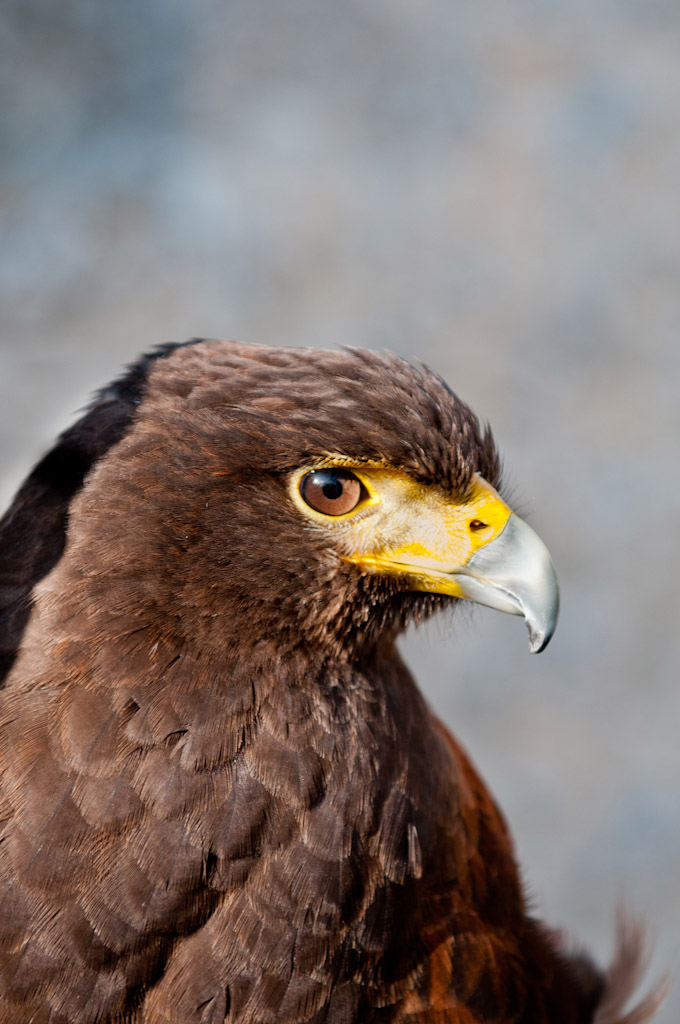 DSC_4061.jpg