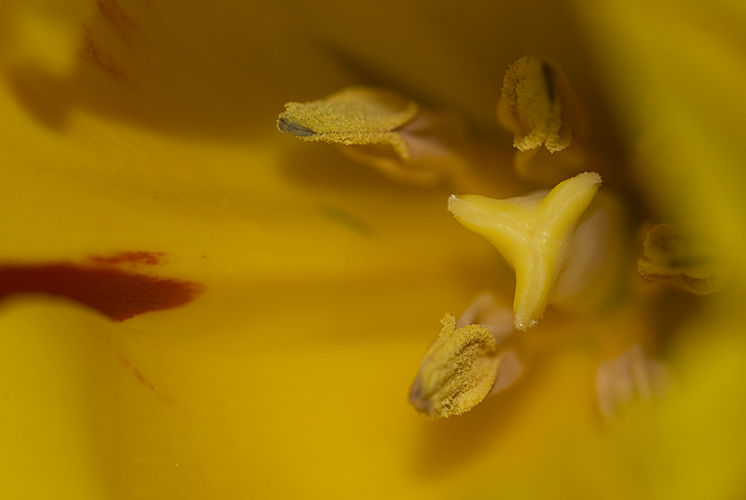 DSC_4124.jpg