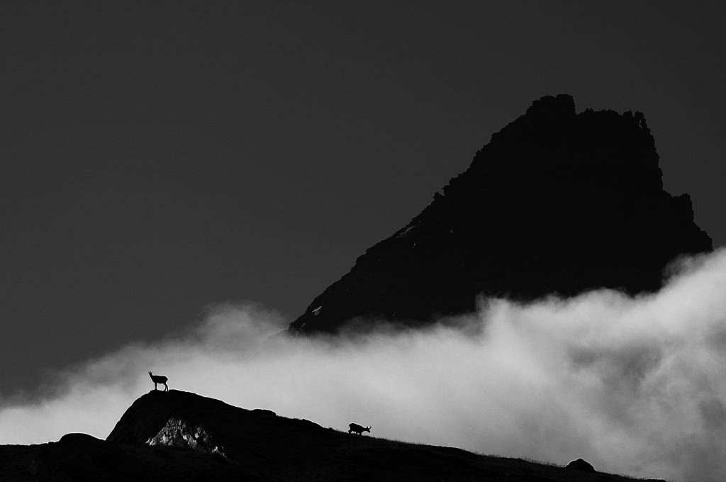 DSC_4132-Edit.JPG