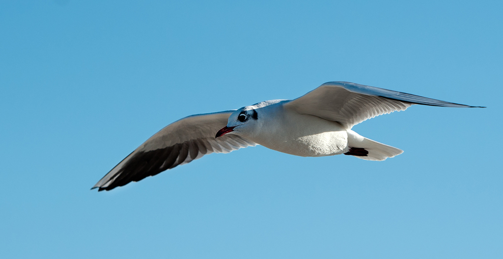 DSC_4150.jpg