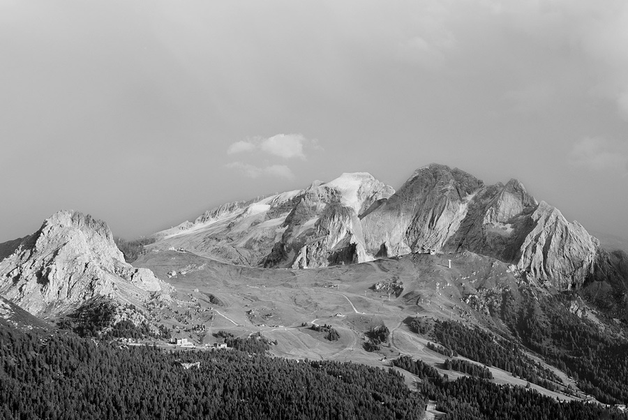 DSC_4179.jpg