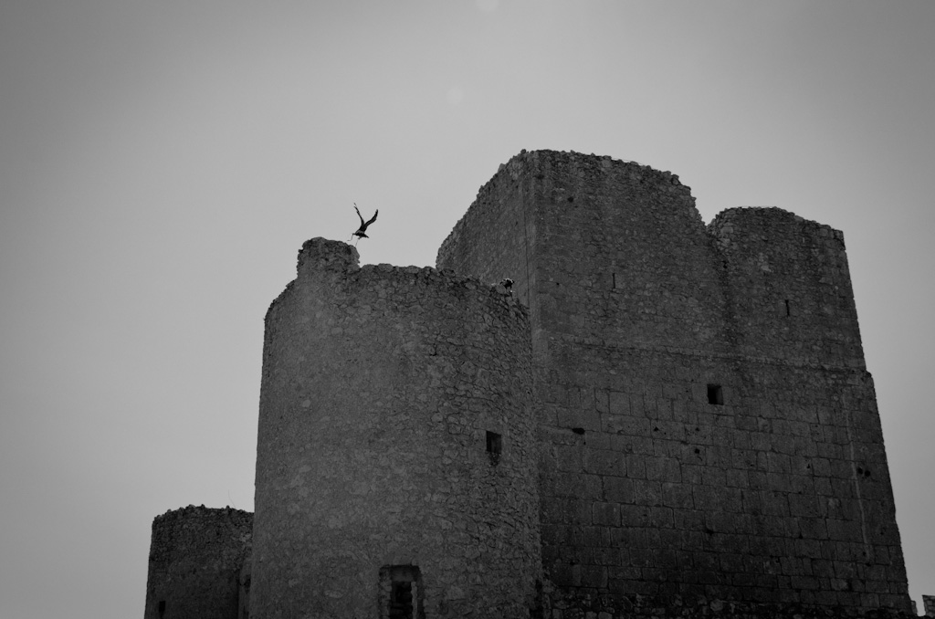 DSC_4280.jpg