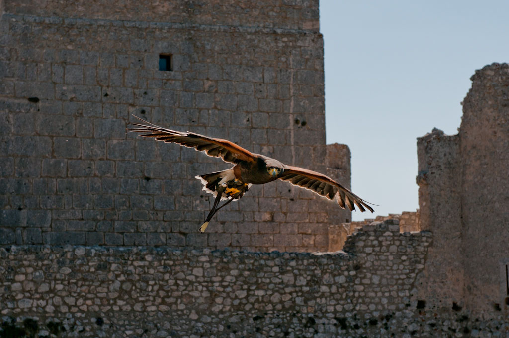 DSC_4287.jpg