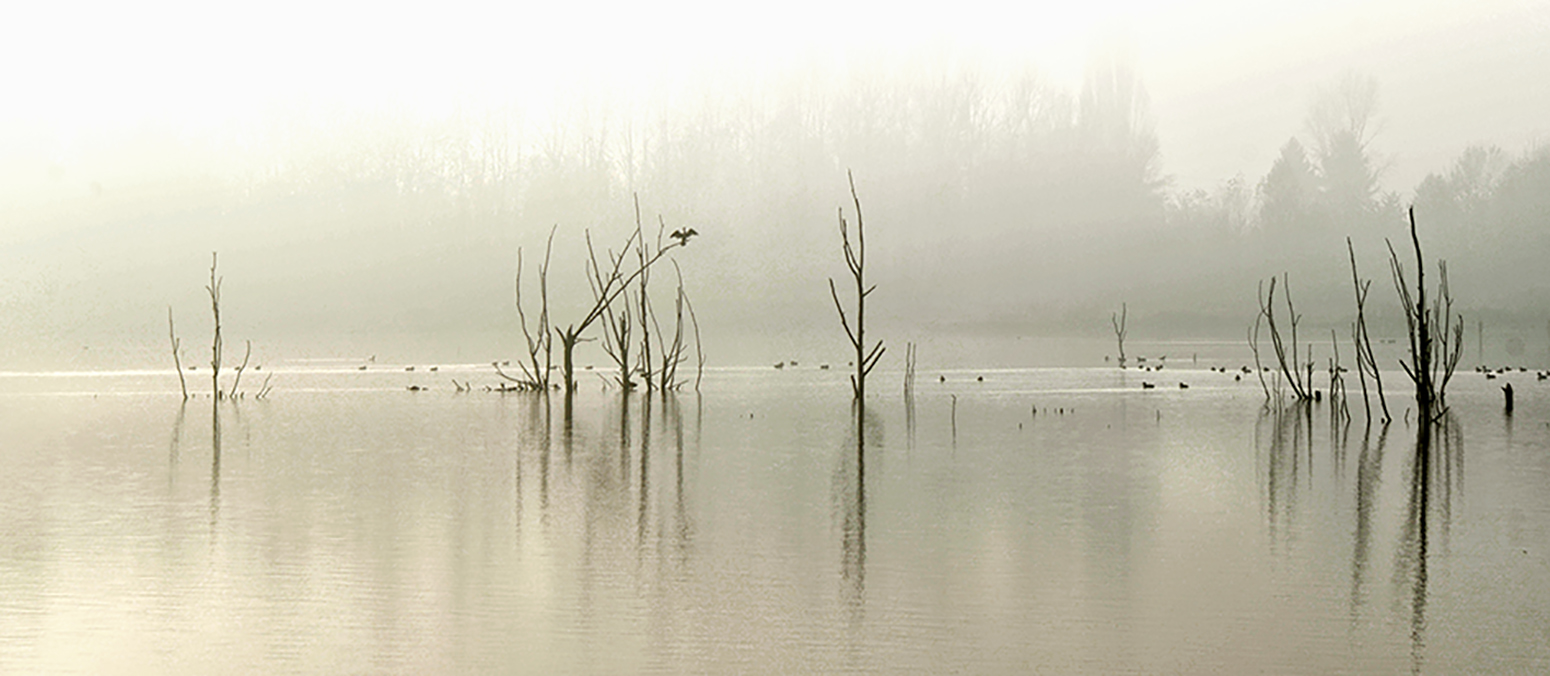 DSC_4311 copia1.jpg
