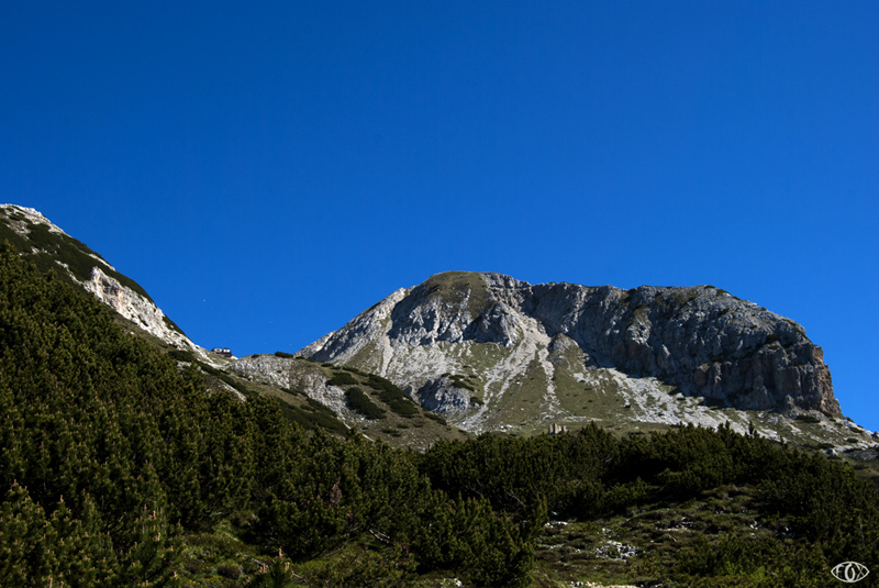 DSC_4409.jpg