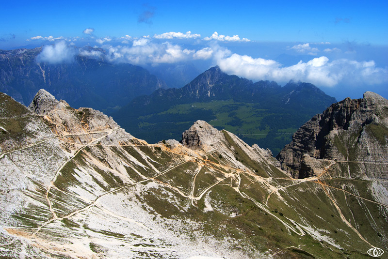 DSC_4442.jpg