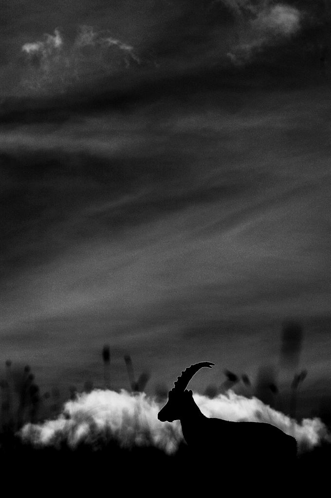 DSC_4459.JPG