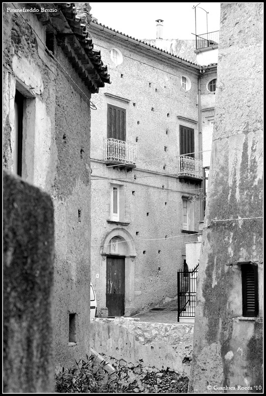 DSC_4470-copia.jpg