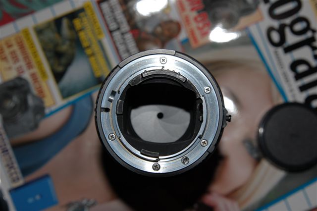 DSC_4566.JPG
