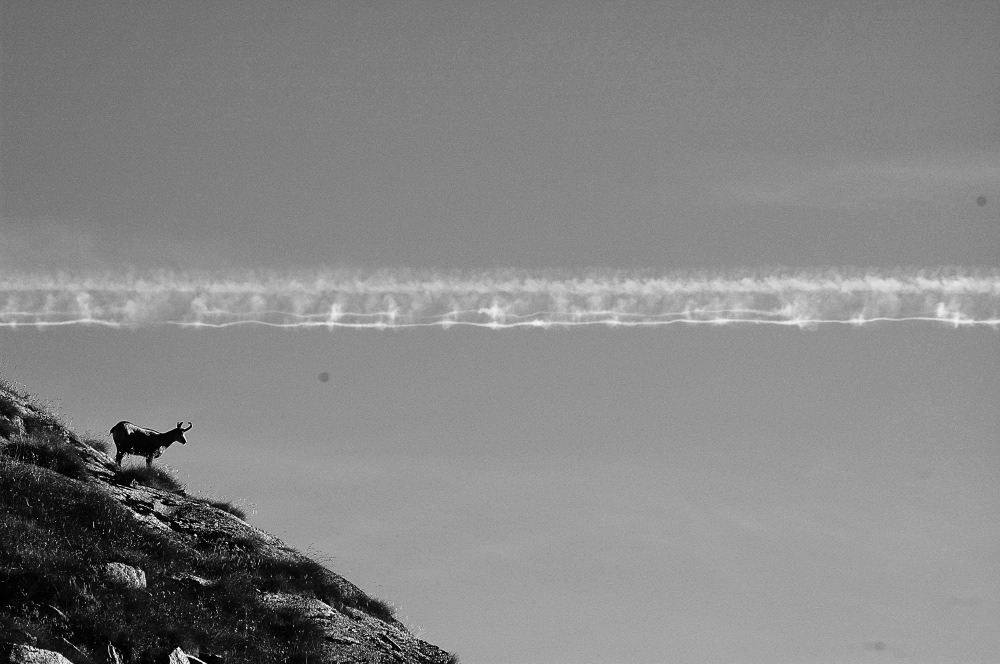 DSC_4570.JPG
